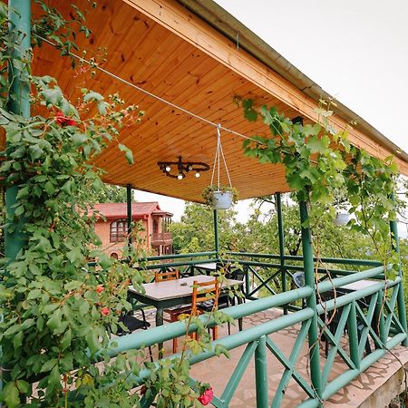 Sighnaghi Garden House Hotel Exterior photo